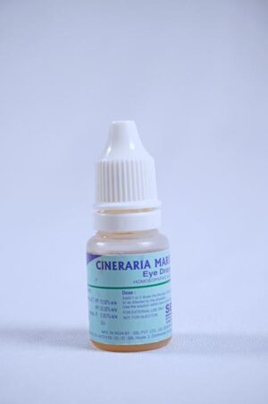 Cineraria Maritima 10%